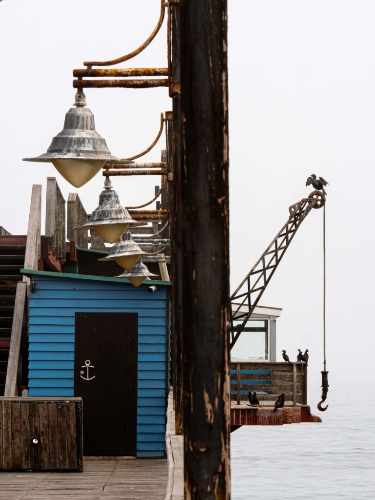 A wooden pier in Swakopmund, weathered lamps, sea-worn planks, and cormorants perched in the Atlantic mist