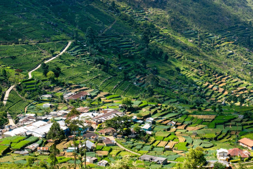 A patchwork of green terraces and tea villages unfolding beneath Lipton’s Seat in the Sri Lankan highlands