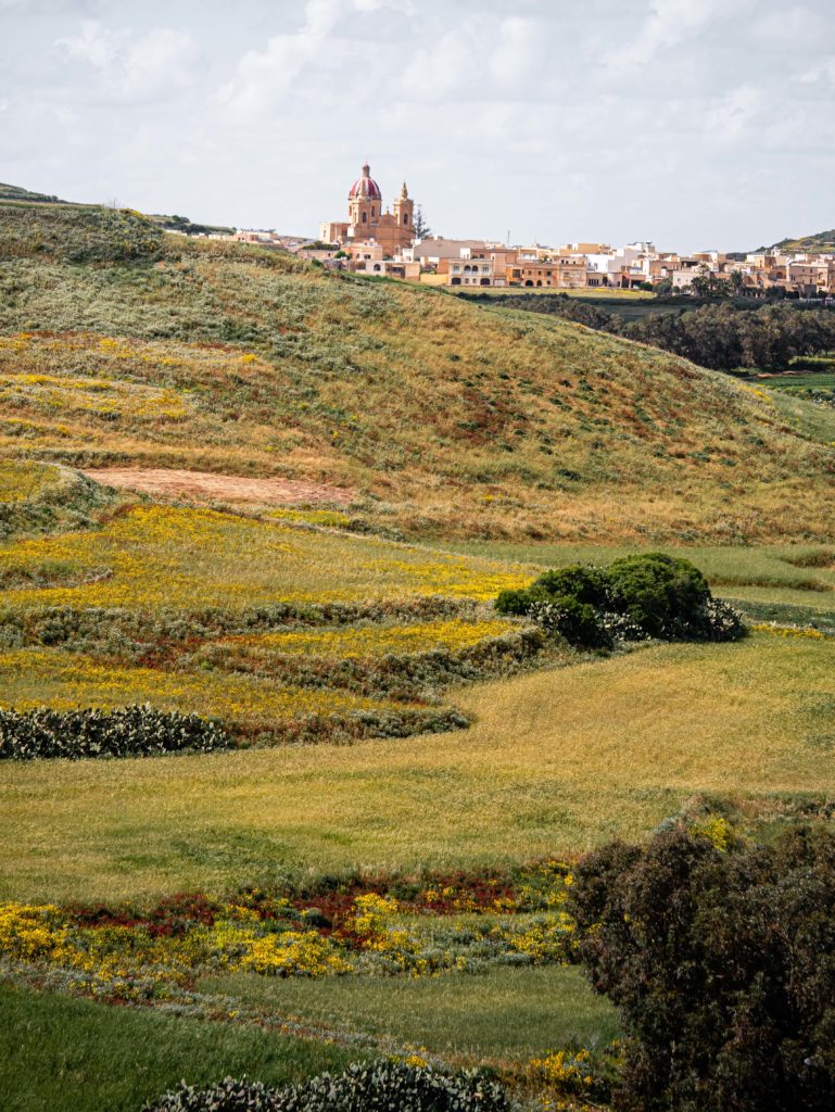 Colorful spring fields and the distant dome of a Maltese village beneath the Mediterranean sky