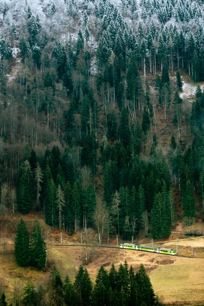 A mountain train gliding through the silent forests of the Swiss Alps