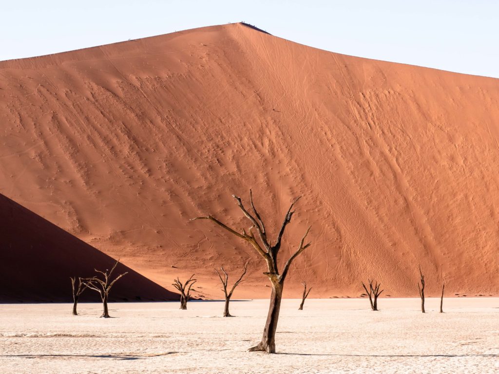 Silhouettes on Big Daddy dune, standing high above the dead trees of Sossusvlei