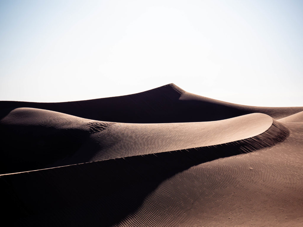 Light and shadow drawing quiet lines across a dune in the Sahara Desert