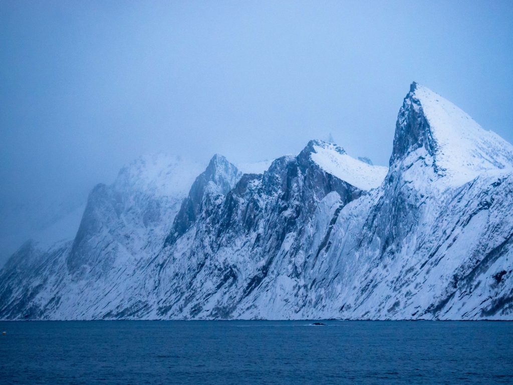 Misty winter light over the rugged cliffs of Senja